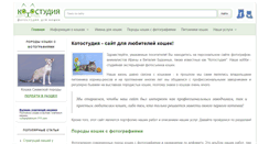 Desktop Screenshot of kotostudio.ru